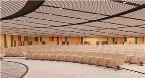 El Qassim University Conference Halls